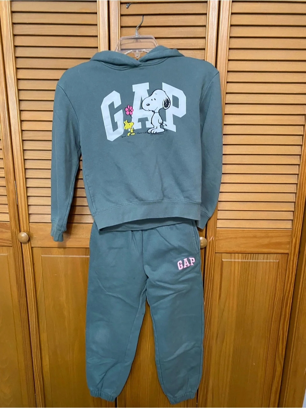 GAP Kids Sage Green Snoopy & Woodstock Hoodie